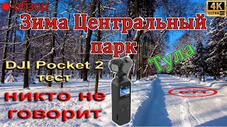 4К видео обзор зима  Тула  Центральный парк Тула на DJI Pocket 2 4k video