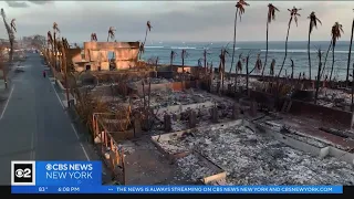 Global response to help Maui recover from wildfires
