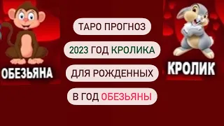 Годовой зодиакальный таро прогноз! Что ждет в Год Кролика, рожденных в Год Обезьяны! Основное