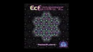 HALFRED - ALIEN VIBRATORY FIELD - ECOMETRIC RETRANSMISSION (DISTORTED)