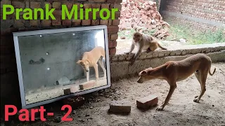 Dog🐕Mirror Prank Hilarious Funny Response Part -2