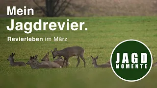 Revierleben | MÄRZ | Die eigene Jagdpacht