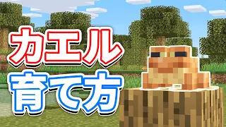 Minecraft 1.19 How to care for Frogs【JPN/ENG】