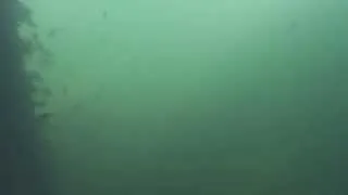 GoPro Ca Aqueduct underwater