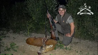 E92 Lov na Srndaća u Baču sa 7x64/Roebuck hunting in Bač with 7x64