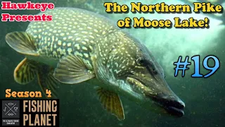 Fishing Planet #19 - S4 | The Northern Pike of Moose Lake!