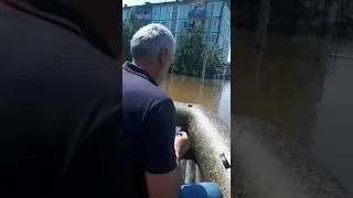 Паводок в Иркутской области. Центр города Тулун (01.07.2019)