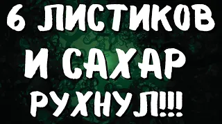 6 ЛИСТИКОВ СНИЗЯТ САХАР И ЛЕЧАТ ДИАБЕТ! СУПЕР РЕЦЕПТ!