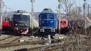 Activitate Feroviară/Rail Activity în gara Episcopia Bihor station