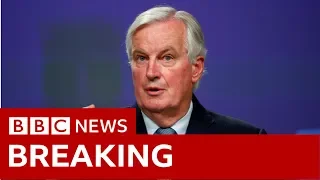 Barnier: Brexit Deal is result of 'intensive work' - BBC News