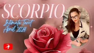 SCORPIO | Hitting The Snooze Button Vs Someone Taking Their Time ❤️‍🔥 | Intimate Tarot | April 2024