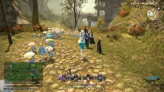 Lalafell walk! One of my favorite things to see on my server. So cute!