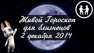 Зайка Zoobe - гороскоп для БЛИЗНЕЦОВ ♊ на 2 декабря