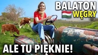 JEZIORO BALATON (WĘGRY): Najlepsze miejsca i atrakcje - co warto zobaczyć? Piękny nocleg! |Vlog 2024