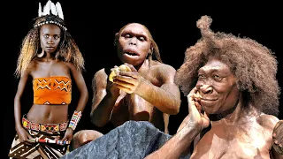 Complex population history and impurity patterns in the Homo. Neanderthals, Denisovans, erectus, etc