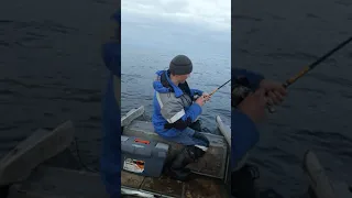 Рыбалка в Баренцевом море