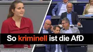 So kriminell ist die AfD, jetzt kommt alles auf den Tisch