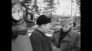 Miškas liaudies ūkiui. Dieveniškės. Tarybų Lietuva, 1950 m.