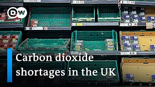 Brexit supply chain barriers cause food and carbon shortages in the UK | DW News