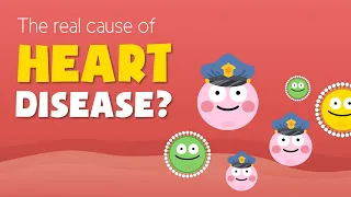 What CAUSES heart disease? Cholesterol? LDL, HDL or Insulin? (Human Science part 2)