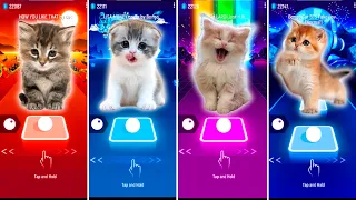 CUTE CATS HOW YOU LIKE THAT VS BLACKPINK LISA MONEY VS JUSTIN BIEBER VS BTS FAKE LOVE & TILES HOP