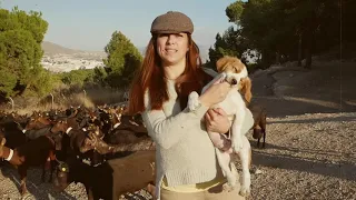 El Migalo y sus cabras. El pastoreo.