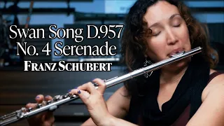 Schubert - Swan Song "Schwanengesang" D.597 No.4 - Amelie Brodeur