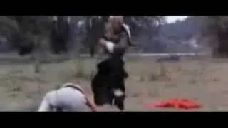 Jackie Chan Fearless Hyena - Kung Fu Fighting