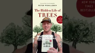 Have you read the Hidden Life of Trees? If you haven’t, don’t — this book is more fiction than fact.