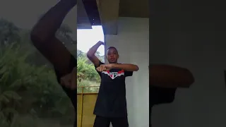 coreografia/bora pro piseiro