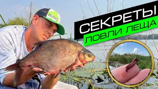 СЕКРЕТЫ ЛОВЛИ ЛЕЩА / ЛОВЛЯ ЛЕЩА НА ФИДЕР / FROS FISHING