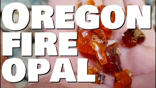 Oregon Rocks! Rockhounding Oregon: Mining Oregon Fire Opal