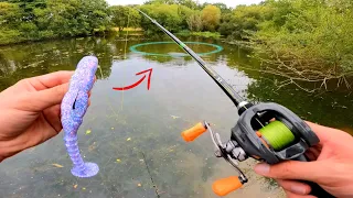 This pond was abandoned for 20 years and is fishing in !!!