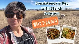 Consistency is Key with Starch Solution: Week 3 Meals!