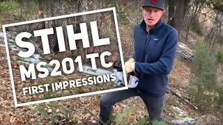 Stihl MS 201 T C-M - First impressions