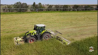 Mowing Sorghum Sudan Grass near Haxtun Colorado | Claas Axion 940 Tractor & Mowers