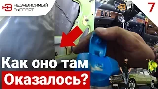 ОЛИВКА! ПОЧЕМУ ВСЕ ОТКАЗЫВАЛИСЬ ЕЕ КРАСИТЬ!