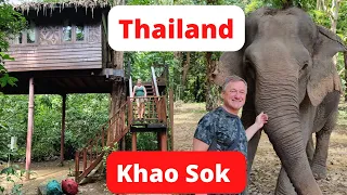 Thailand Khao Sok National Park | Rainforest  Treehouse Stay | Elephants and Monkeys