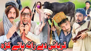 Qurbani De Rana Pate Kra ||Funny Video || Daji Gull Vines