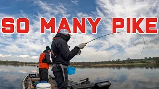 FLY fishing for PIKE | CRAZY SESSION | Never had so manny pike | PFFA 2023