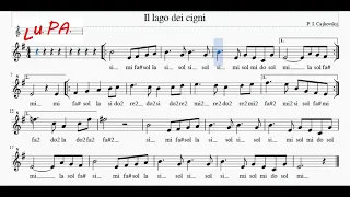 Il lago dei cigni - Flauto dolce - Spartito - Note - Karaoke - Canto - Instrumental