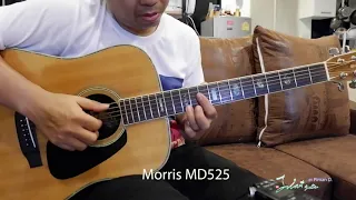 Morris MD525