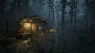 Lonely hut in the forest with tropical rain and thunder | Rain noise ASMR 10 hours | RDR2