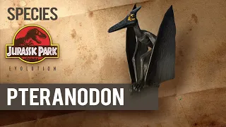 Pteranodon - SPECIES PROFILE | Jurassic World Evolution