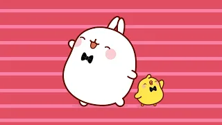 LIKE A SUPERSTAR! ⭐ | Molang Cartoon For Kids