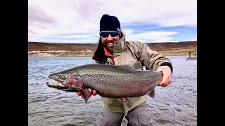 Dry Fly Bay Monster Rainbows