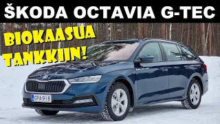 KOEAJO: Skoda Octavia G-Tec kaasuauto - Luontoystävällisesti biokaasulla