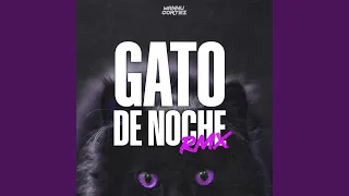 Gato de Noche (Remix)