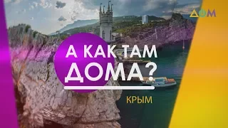 Спасение фисташковой рощи в Севастополе | А как там дома?