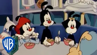 Animaniacs | The World's Most Boring Man | Classic Cartoon | WB Kids